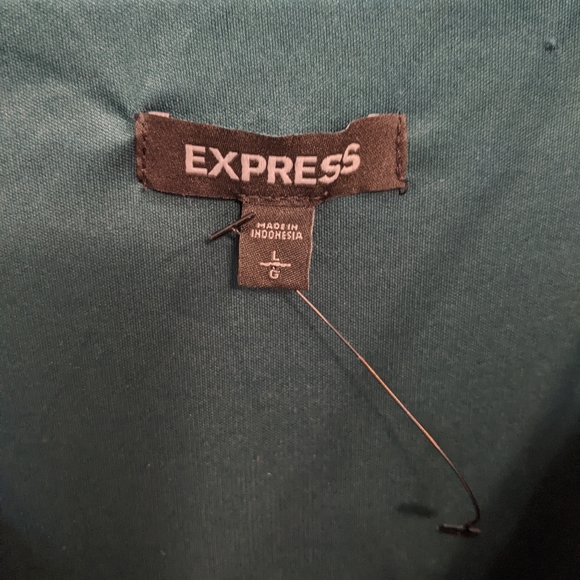 Express Green Velour Dress - Picture 4 of 4